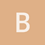 bravewolf5621